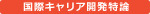 国際キャリア開発特論