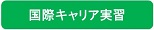 国際キャリア実習