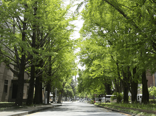 校内の庭の画像