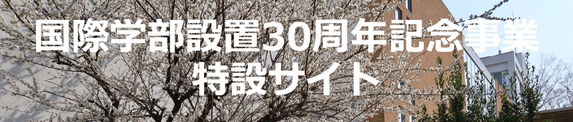 国際学部設置30周年記念事業特設サイト